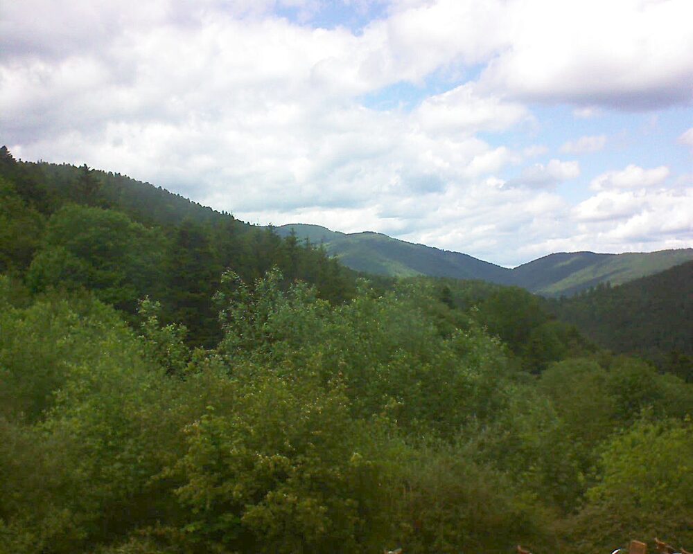 Le petit ballon vu depuis le Domaine Langmatt à Murbach le 28.05.2024 à 15:30 Le petit ballon (Alsace, Vosges) le 28.05.2024 à 15:30