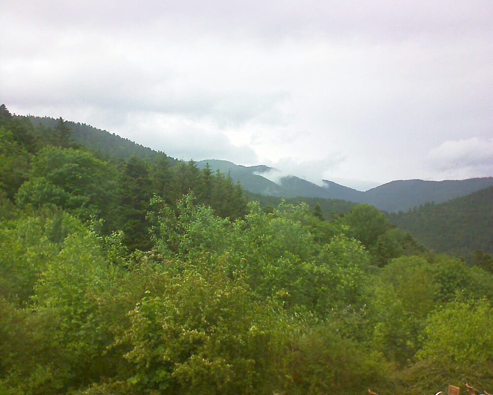 Le petit ballon (Alsace, Vosges) le 29.05.2024 à 13:45