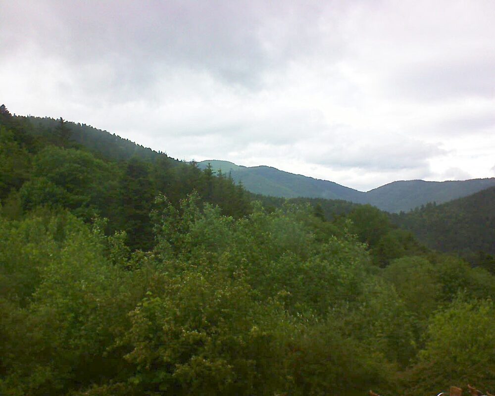 Le petit ballon (Alsace, Vosges) le 29.05.2024 à 16:00