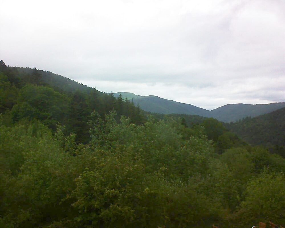 Le petit ballon (Alsace, Vosges) le 29.05.2024 à 16:15