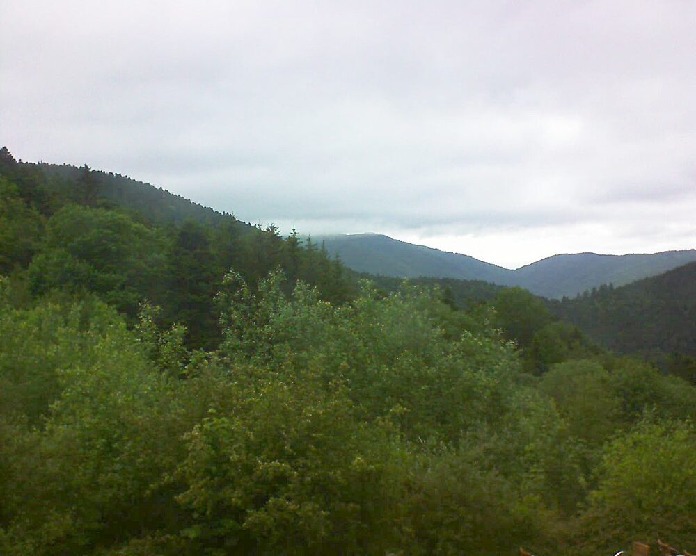 Le petit ballon vu depuis le Domaine Langmatt à Murbach le 29.05.2024 à 17:00 Le petit ballon (Alsace, Vosges) le 29.05.2024 à 17:00