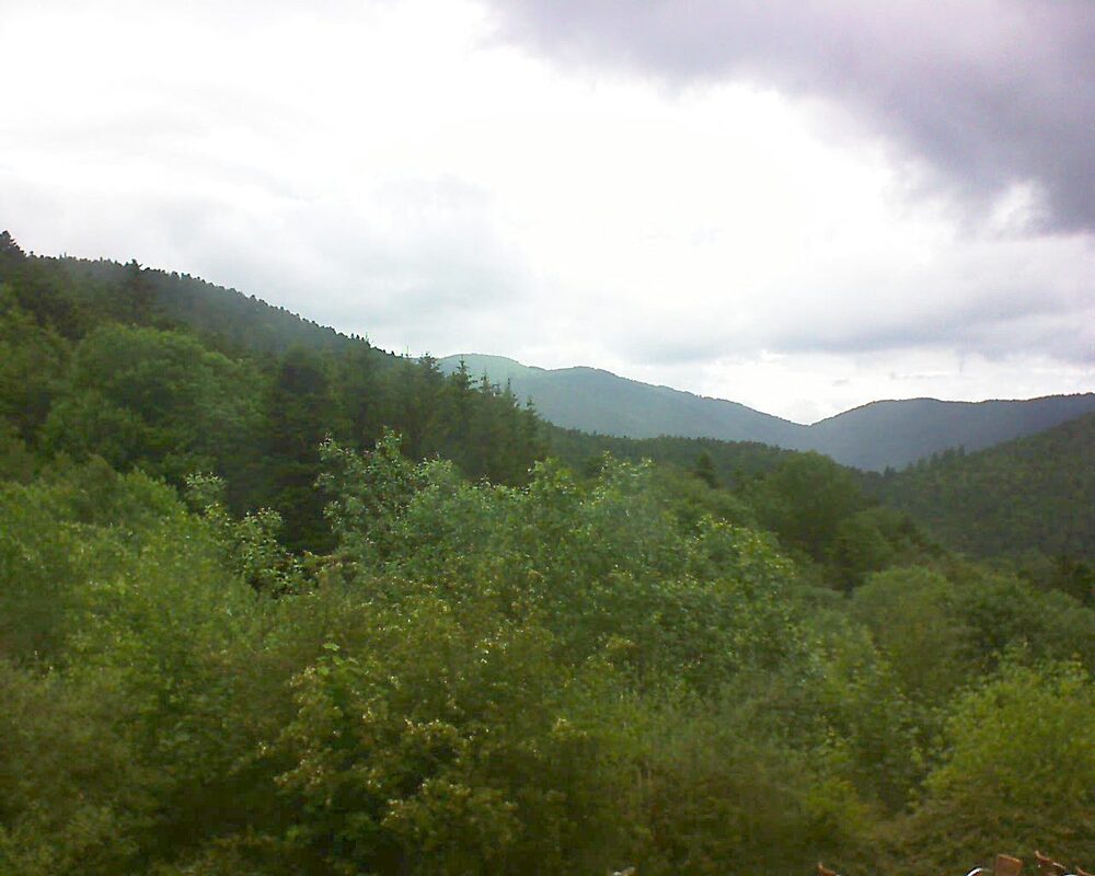 Le petit ballon (Alsace, Vosges) le 31.05.2024 à 15:00