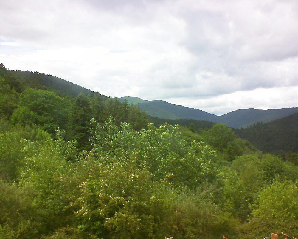 Le petit ballon vu depuis le Domaine Langmatt à Murbach le 31.05.2024 à 15:30 Le petit ballon (Alsace, Vosges) le 31.05.2024 à 15:30