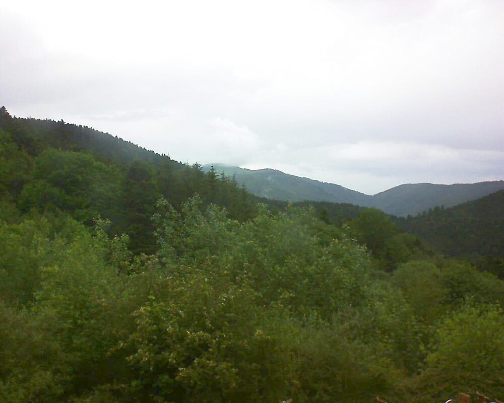 Le petit ballon (Alsace, Vosges) le 31.05.2024 à 18:00