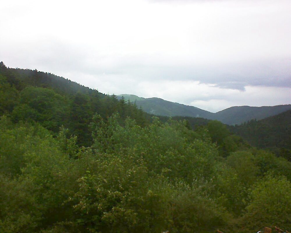 Le petit ballon (Alsace, Vosges) le 31.05.2024 à 18:15
