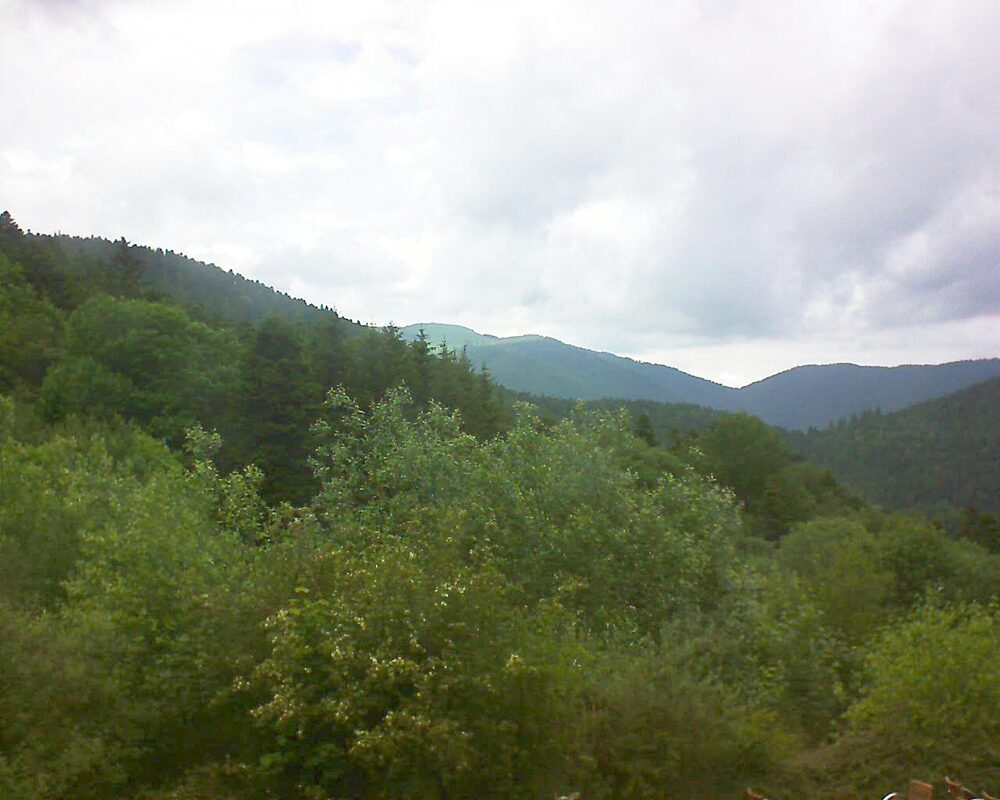 Le petit ballon (Alsace, Vosges) le 01.06.2024 à 15:00