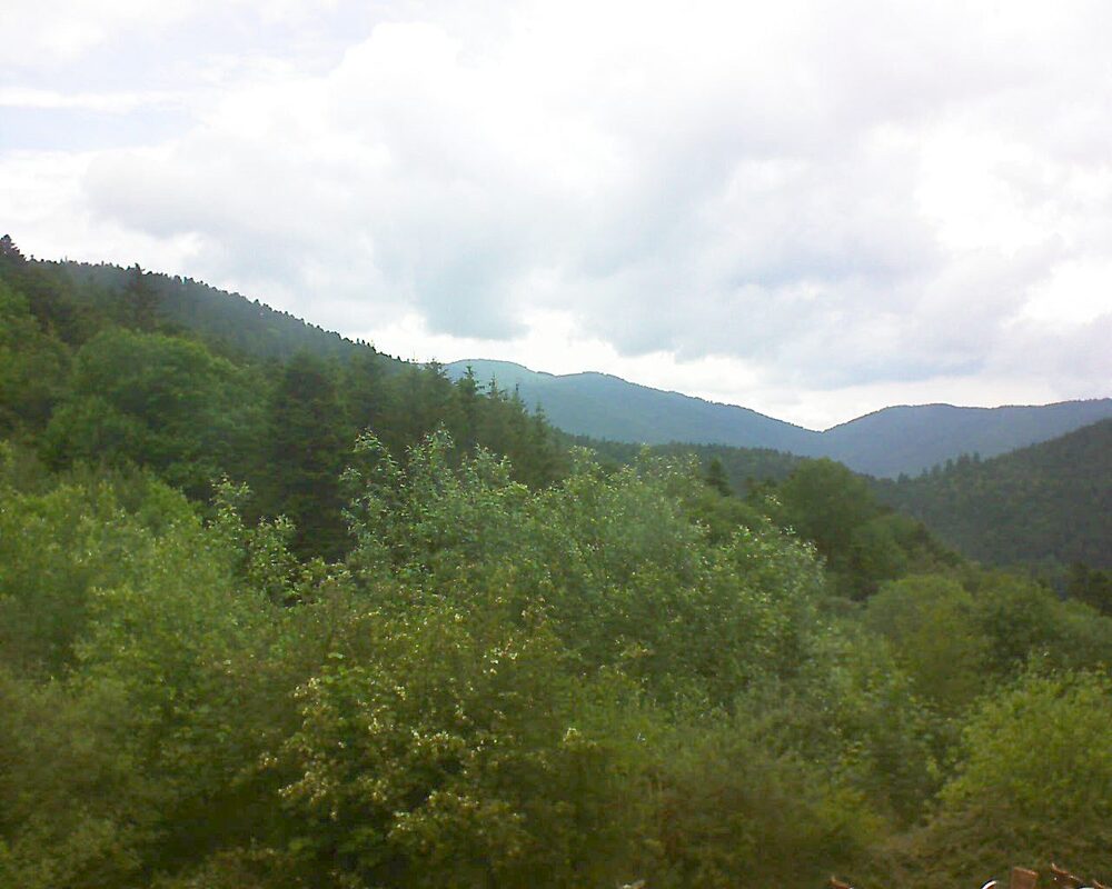 Le petit ballon vu depuis le Domaine Langmatt à Murbach le 01.06.2024 à 15:15 Le petit ballon (Alsace, Vosges) le 01.06.2024 à 15:15