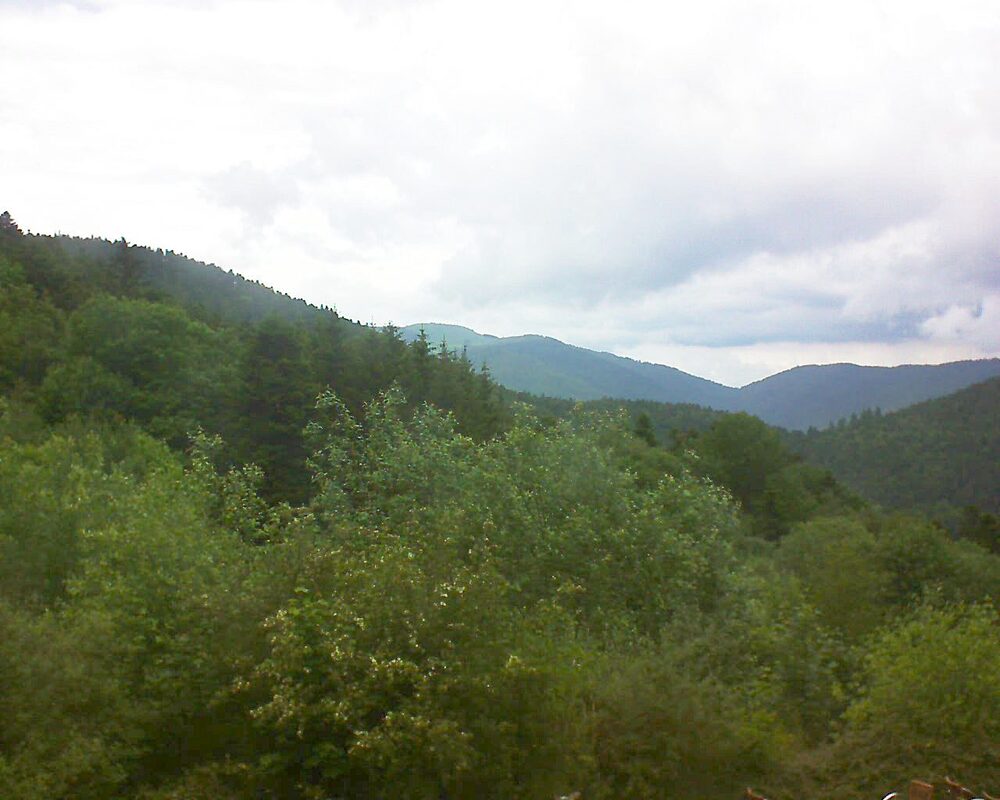 Le petit ballon vu depuis le Domaine Langmatt à Murbach le 01.06.2024 à 15:30 Le petit ballon (Alsace, Vosges) le 01.06.2024 à 15:30