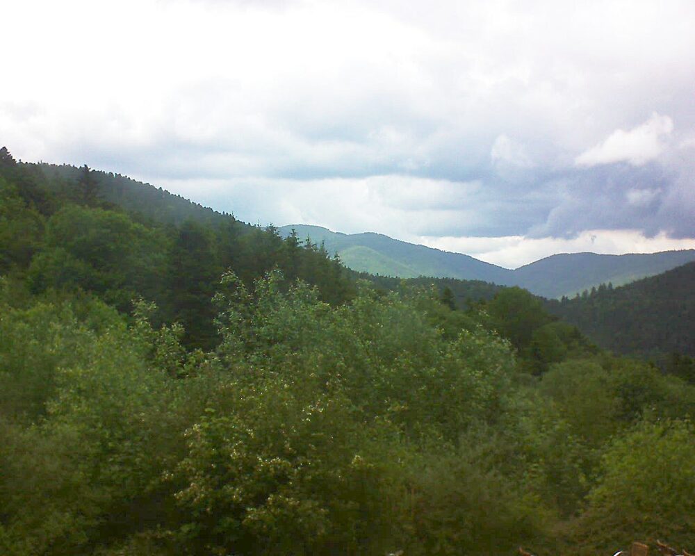 Le petit ballon vu depuis le Domaine Langmatt à Murbach le 01.06.2024 à 15:45 Le petit ballon (Alsace, Vosges) le 01.06.2024 à 15:45