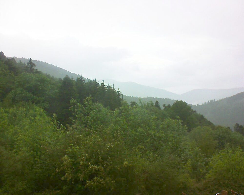 Le petit ballon vu depuis le Domaine Langmatt à Murbach le 01.06.2024 à 16:45 Le petit ballon (Alsace, Vosges) le 01.06.2024 à 16:45