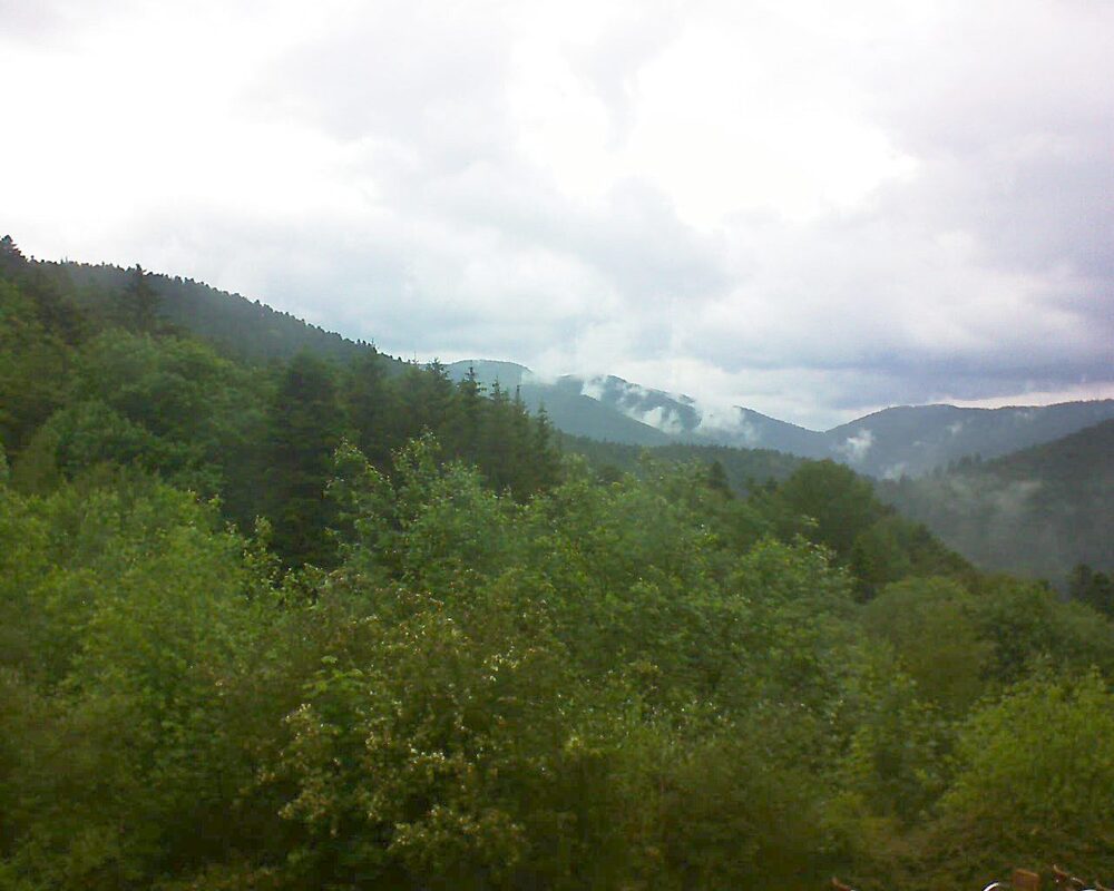 Le petit ballon vu depuis le Domaine Langmatt à Murbach le 01.06.2024 à 17:45 Le petit ballon (Alsace, Vosges) le 01.06.2024 à 17:45