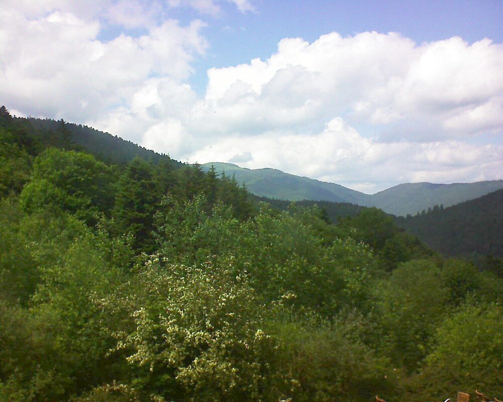 Le petit ballon vu depuis le Domaine Langmatt à Murbach le 04.06.2024 à 15:15 Le petit ballon (Alsace, Vosges) le 04.06.2024 à 15:15