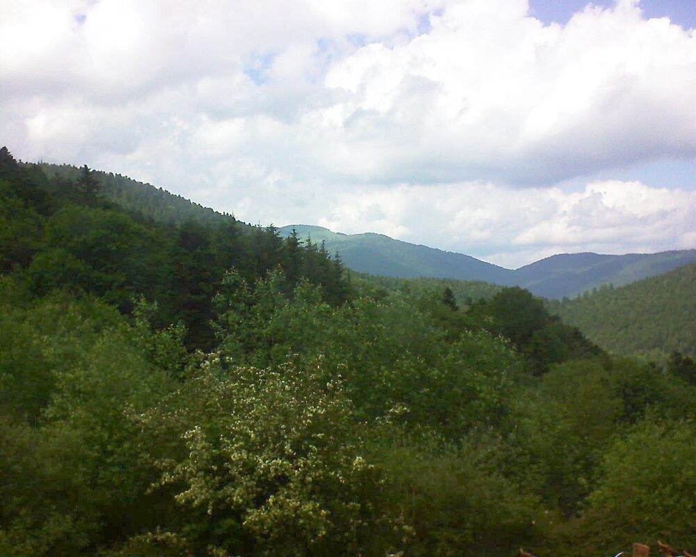 Le petit ballon vu depuis le Domaine Langmatt à Murbach le 04.06.2024 à 15:30 Le petit ballon (Alsace, Vosges) le 04.06.2024 à 15:30