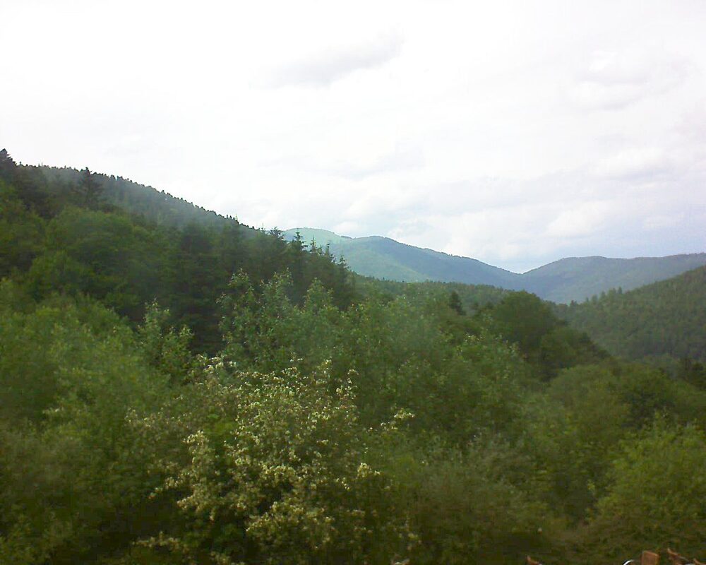 Le petit ballon vu depuis le Domaine Langmatt à Murbach le 05.06.2024 à 16:00 Le petit ballon (Alsace, Vosges) le 05.06.2024 à 16:00