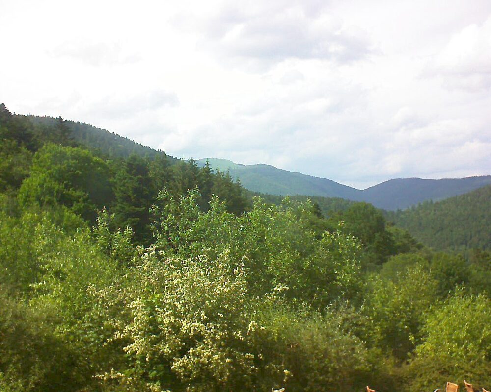Le petit ballon vu depuis le Domaine Langmatt à Murbach le 05.06.2024 à 16:30 Le petit ballon (Alsace, Vosges) le 05.06.2024 à 16:30