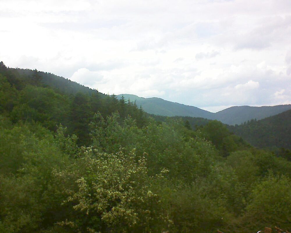 Le petit ballon vu depuis le Domaine Langmatt à Murbach le 05.06.2024 à 17:15 Le petit ballon (Alsace, Vosges) le 05.06.2024 à 17:15