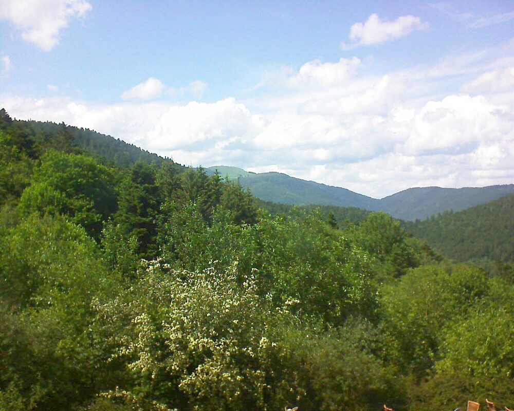 Le petit ballon vu depuis le Domaine Langmatt à Murbach le 06.06.2024 à 15:45 Le petit ballon (Alsace, Vosges) le 06.06.2024 à 15:45