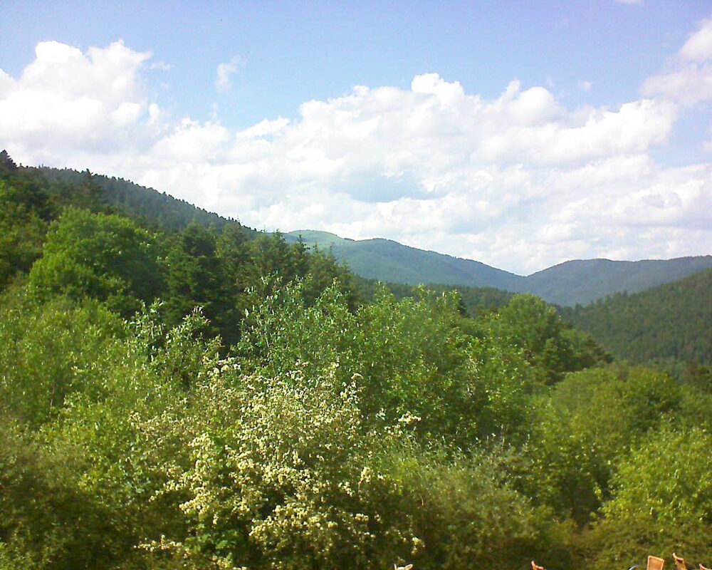 Le petit ballon (Alsace, Vosges) le 06.06.2024 à 16:30