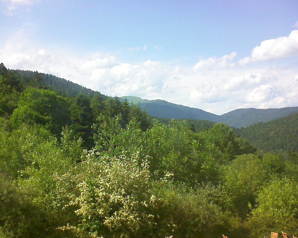Le petit ballon vu depuis le Domaine Langmatt à Murbach le 06.06.2024 à 17:00 Le petit ballon (Alsace, Vosges) le 06.06.2024 à 17:00