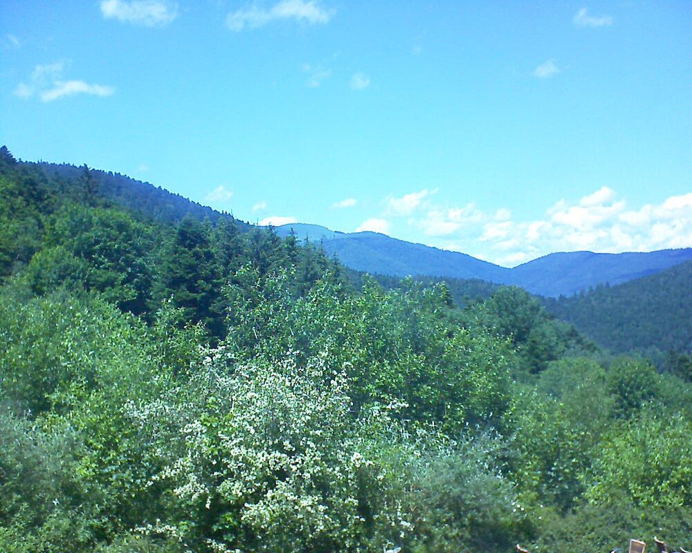 Le petit ballon vu depuis le Domaine Langmatt à Murbach le 07.06.2024 à 14:00 Le petit ballon (Alsace, Vosges) le 07.06.2024 à 14:00