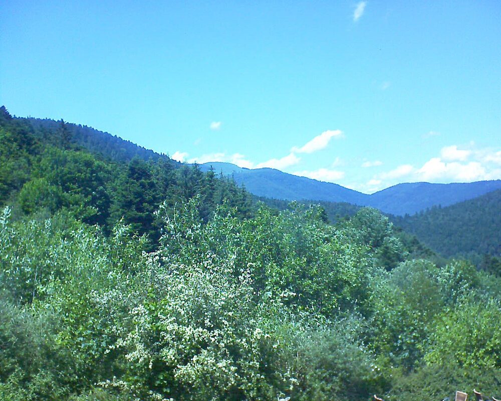 Le petit ballon vu depuis le Domaine Langmatt à Murbach le 07.06.2024 à 14:30 Le petit ballon (Alsace, Vosges) le 07.06.2024 à 14:30