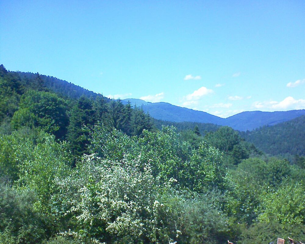 Le petit ballon vu depuis le Domaine Langmatt à Murbach le 07.06.2024 à 15:15 Le petit ballon (Alsace, Vosges) le 07.06.2024 à 15:15