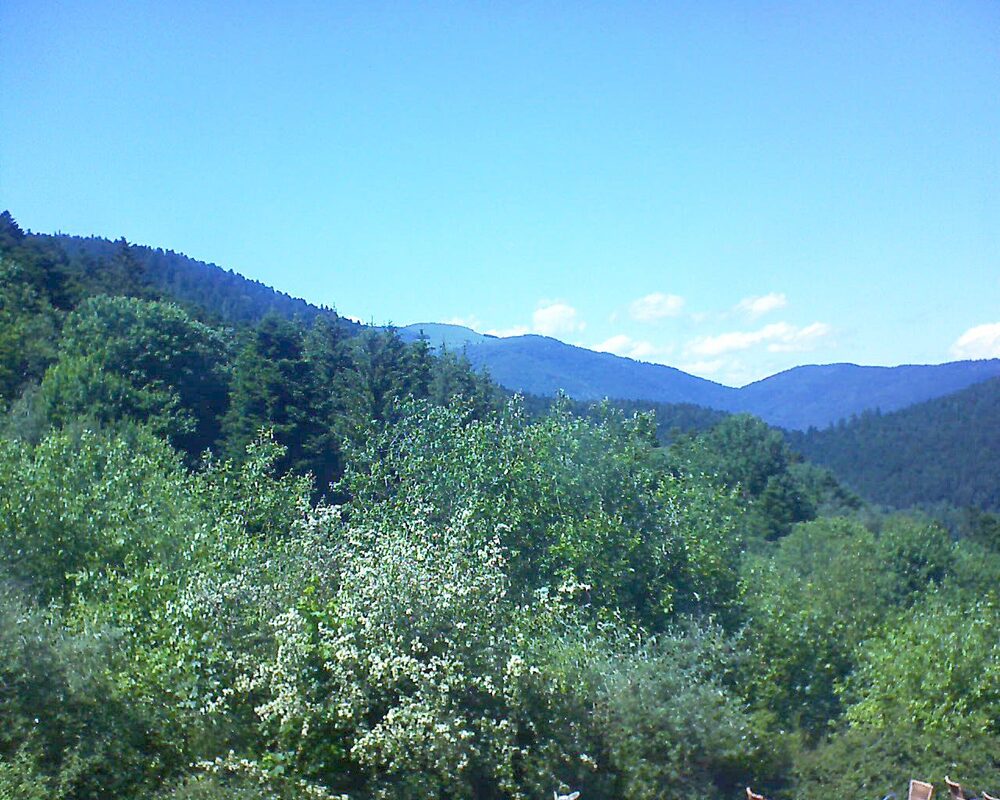 Le petit ballon vu depuis le Domaine Langmatt à Murbach le 07.06.2024 à 15:30 Le petit ballon (Alsace, Vosges) le 07.06.2024 à 15:30