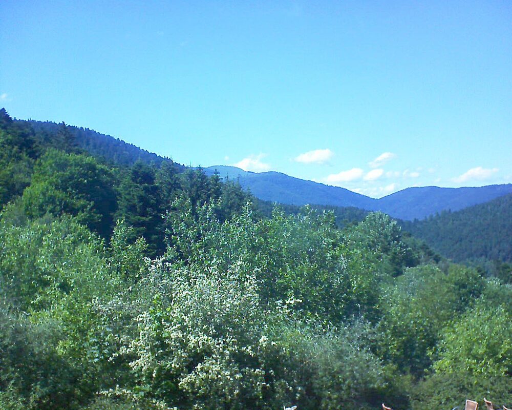 Le petit ballon (Alsace, Vosges) le 07.06.2024 à 16:00