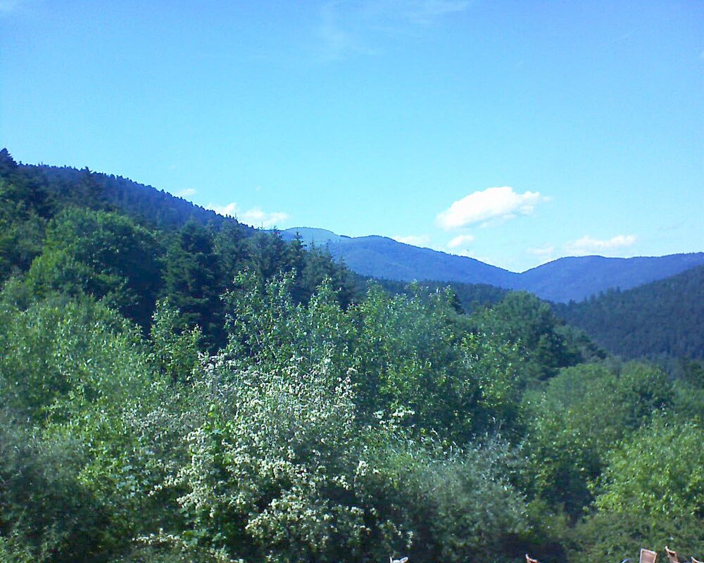 Le petit ballon (Alsace, Vosges) le 07.06.2024 à 16:15