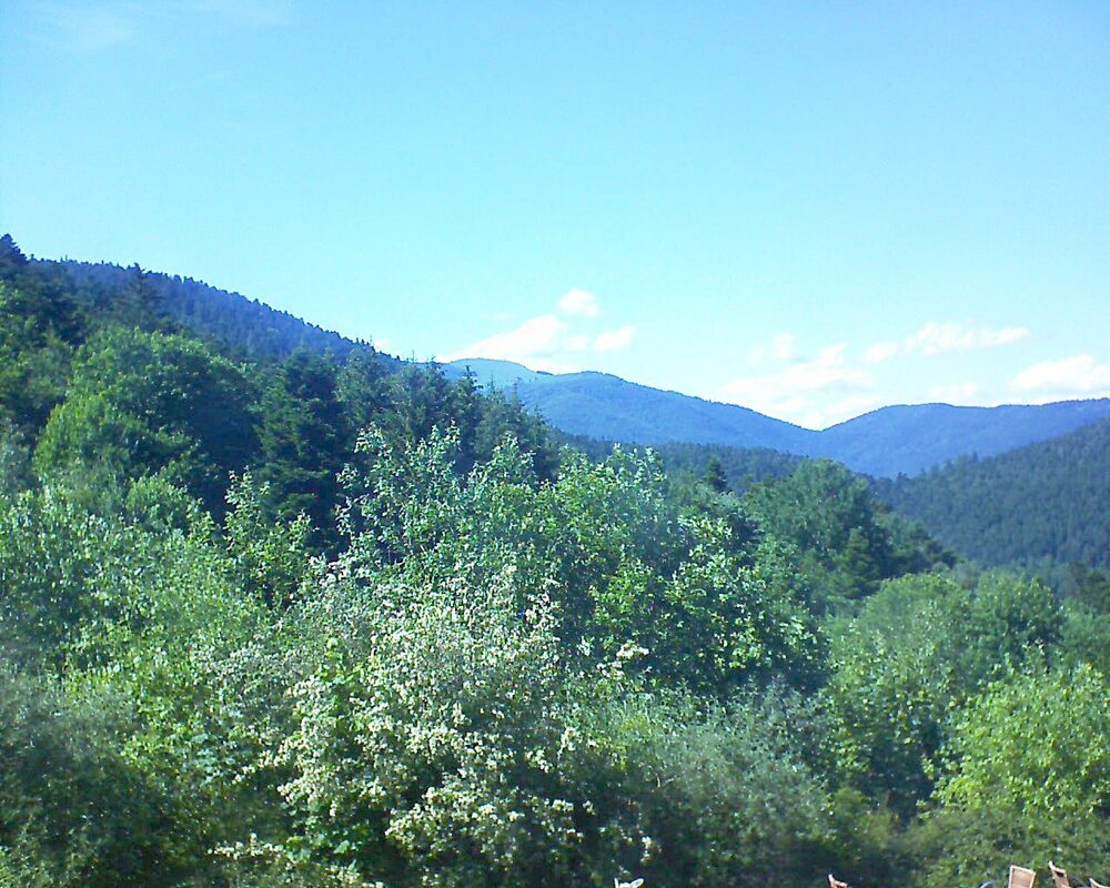 Le petit ballon vu depuis le Domaine Langmatt à Murbach le 07.06.2024 à 16:30 Le petit ballon (Alsace, Vosges) le 07.06.2024 à 16:30