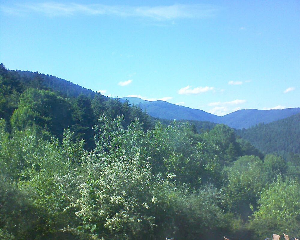 Le petit ballon (Alsace, Vosges) le 07.06.2024 à 17:30
