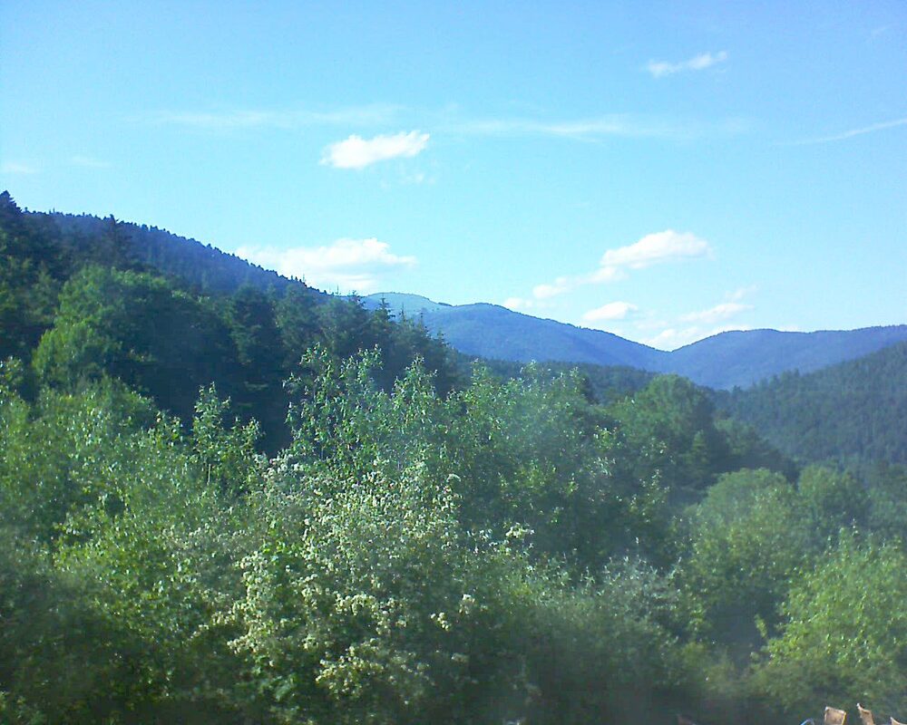 Le petit ballon (Alsace, Vosges) le 07.06.2024 à 18:00