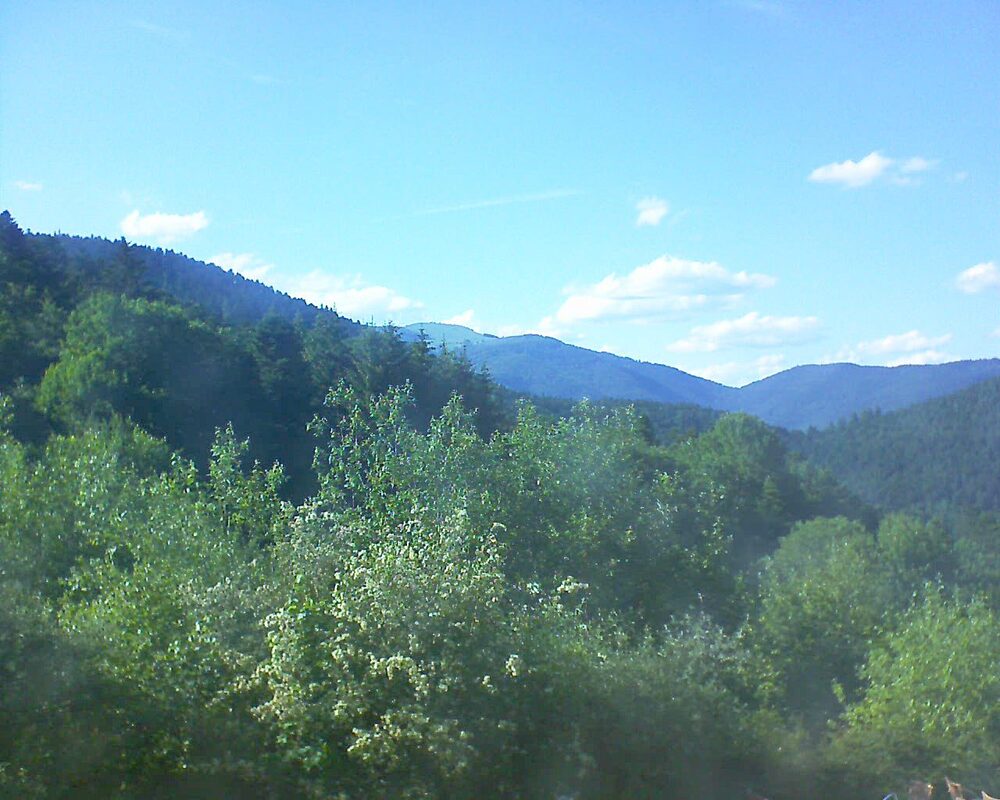 Le petit ballon (Alsace, Vosges) le 07.06.2024 à 18:15