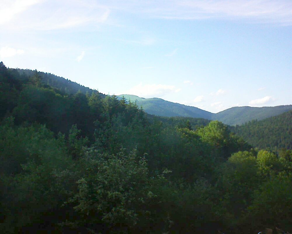 Le petit ballon (Alsace, Vosges) le 07.06.2024 à 19:00
