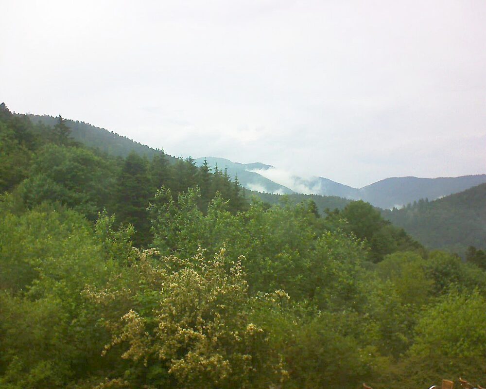 Le petit ballon vu depuis le Domaine Langmatt à Murbach le 08.06.2024 à 14:15 Le petit ballon (Alsace, Vosges) le 08.06.2024 à 14:15