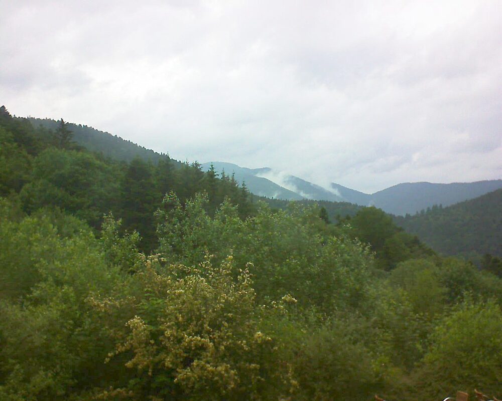 Le petit ballon vu depuis le Domaine Langmatt à Murbach le 08.06.2024 à 15:15 Le petit ballon (Alsace, Vosges) le 08.06.2024 à 15:15