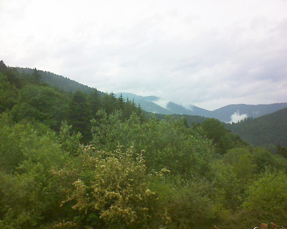 Le petit ballon vu depuis le Domaine Langmatt à Murbach le 08.06.2024 à 15:30 Le petit ballon (Alsace, Vosges) le 08.06.2024 à 15:30