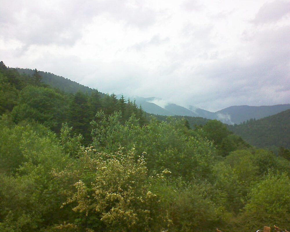 Le petit ballon vu depuis le Domaine Langmatt à Murbach le 08.06.2024 à 16:00 Le petit ballon (Alsace, Vosges) le 08.06.2024 à 16:00