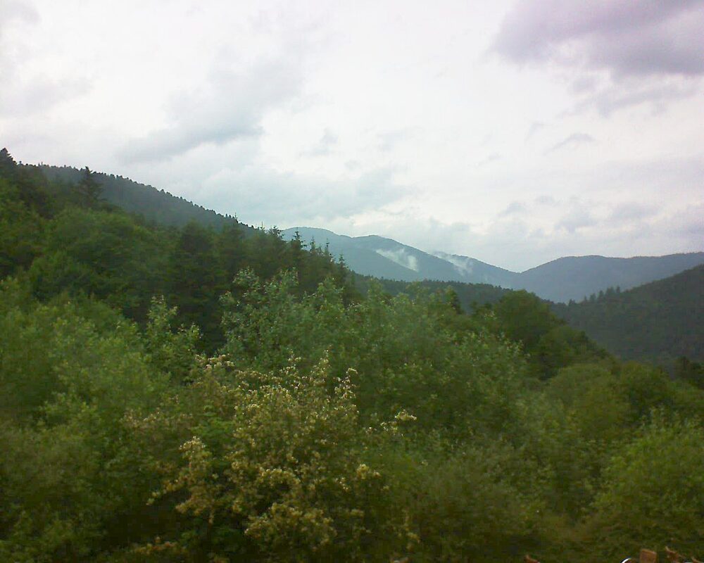 Le petit ballon vu depuis le Domaine Langmatt à Murbach le 08.06.2024 à 16:15 Le petit ballon (Alsace, Vosges) le 08.06.2024 à 16:15