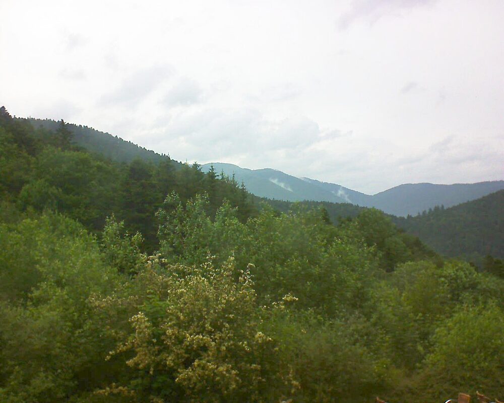 Le petit ballon vu depuis le Domaine Langmatt à Murbach le 08.06.2024 à 16:30 Le petit ballon (Alsace, Vosges) le 08.06.2024 à 16:30