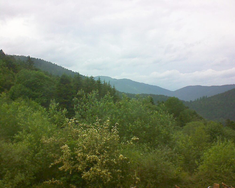Le petit ballon vu depuis le Domaine Langmatt à Murbach le 08.06.2024 à 17:00 Le petit ballon (Alsace, Vosges) le 08.06.2024 à 17:00