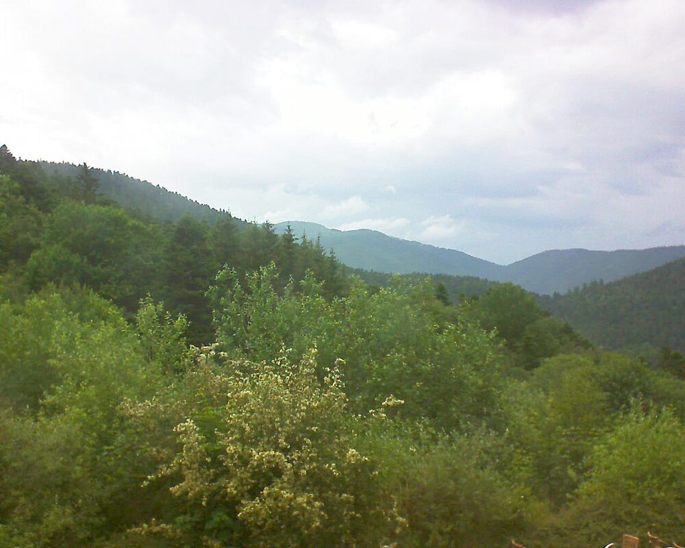 Le petit ballon vu depuis le Domaine Langmatt à Murbach le 08.06.2024 à 17:30 Le petit ballon (Alsace, Vosges) le 08.06.2024 à 17:30