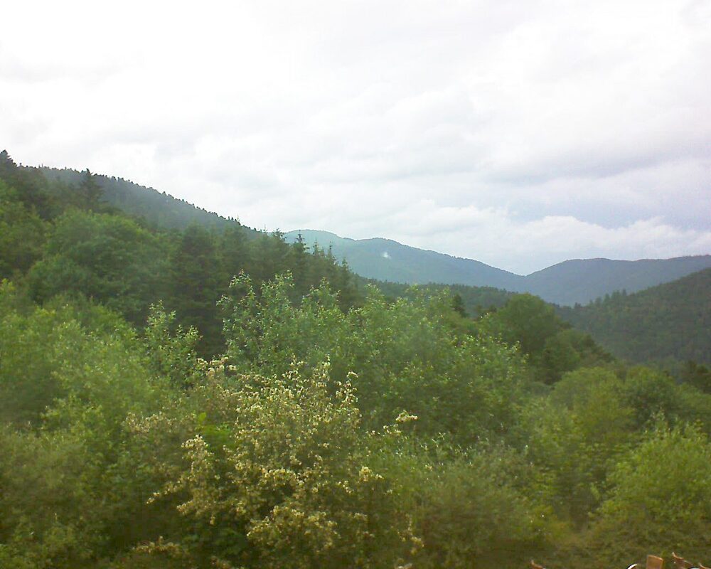 Le petit ballon vu depuis le Domaine Langmatt à Murbach le 08.06.2024 à 17:45 Le petit ballon (Alsace, Vosges) le 08.06.2024 à 17:45