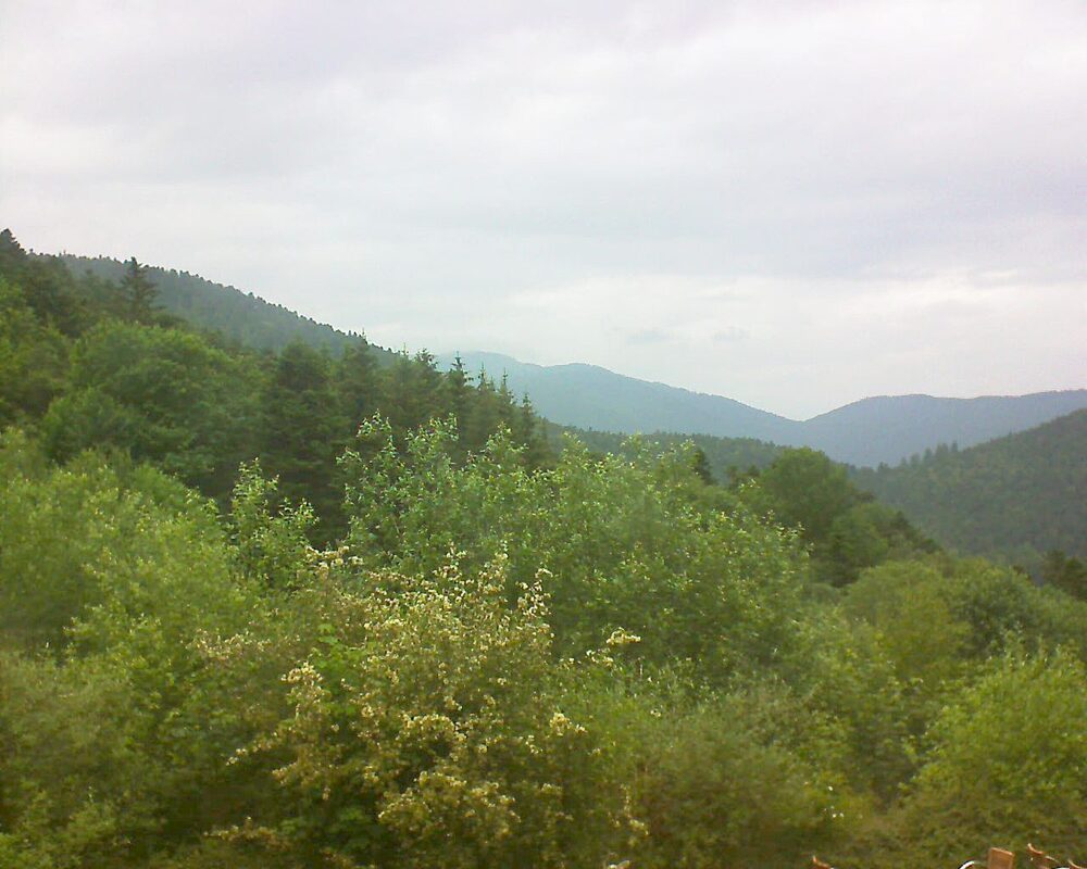 Le petit ballon vu depuis le Domaine Langmatt à Murbach le 09.06.2024 à 15:15 Le petit ballon (Alsace, Vosges) le 09.06.2024 à 15:15
