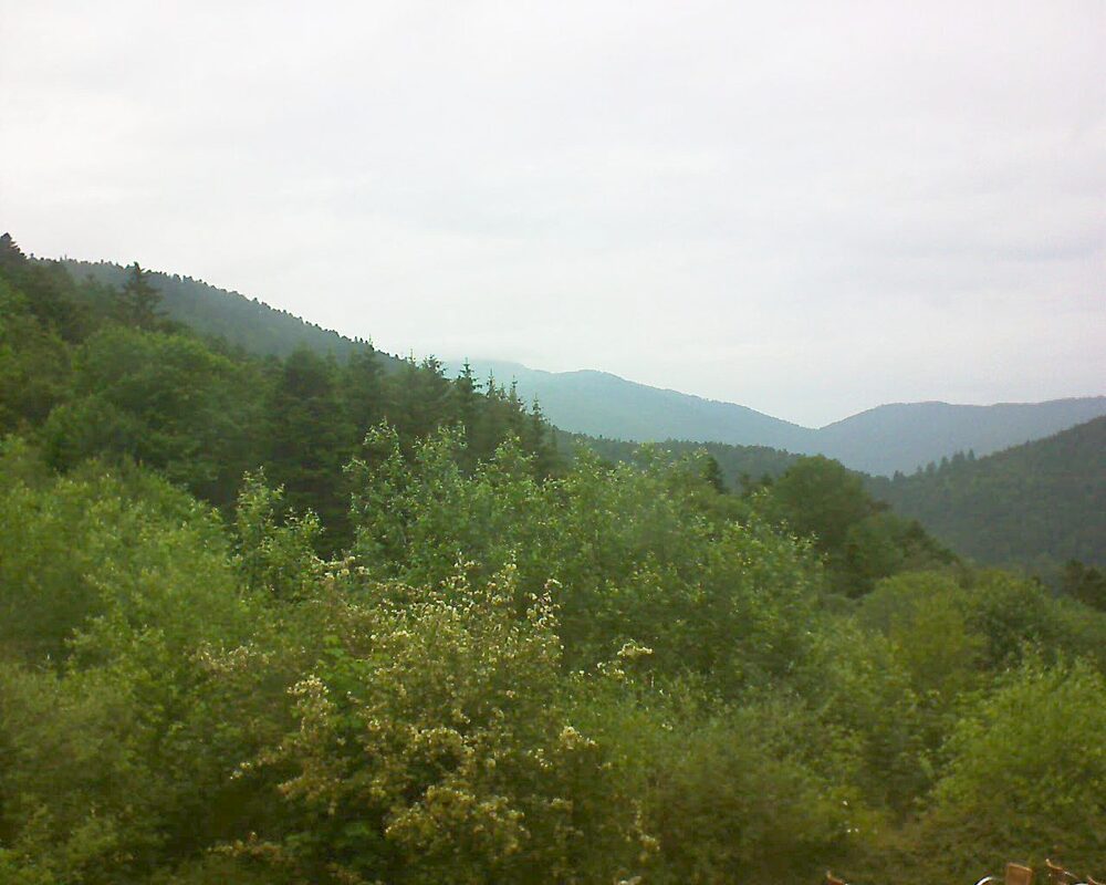 Le petit ballon (Alsace, Vosges) le 09.06.2024 à 15:30