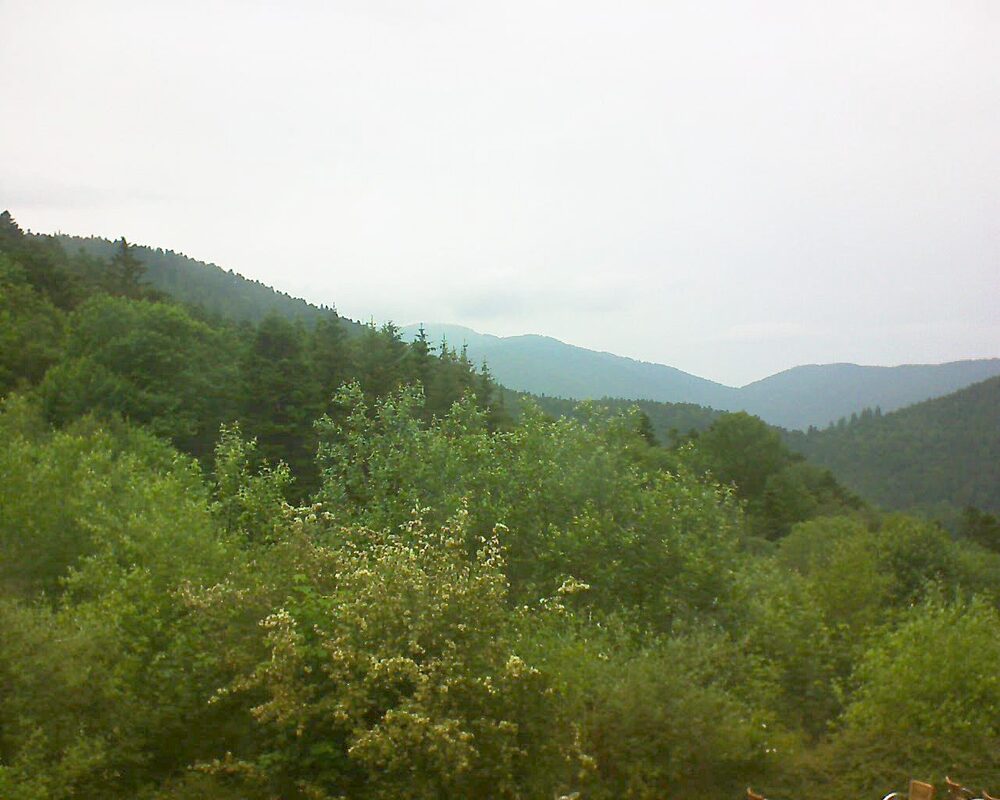 Le petit ballon (Alsace, Vosges) le 09.06.2024 à 15:45
