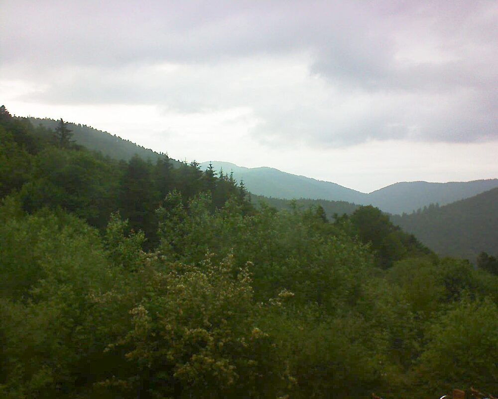 Le petit ballon (Alsace, Vosges) le 09.06.2024 à 16:30