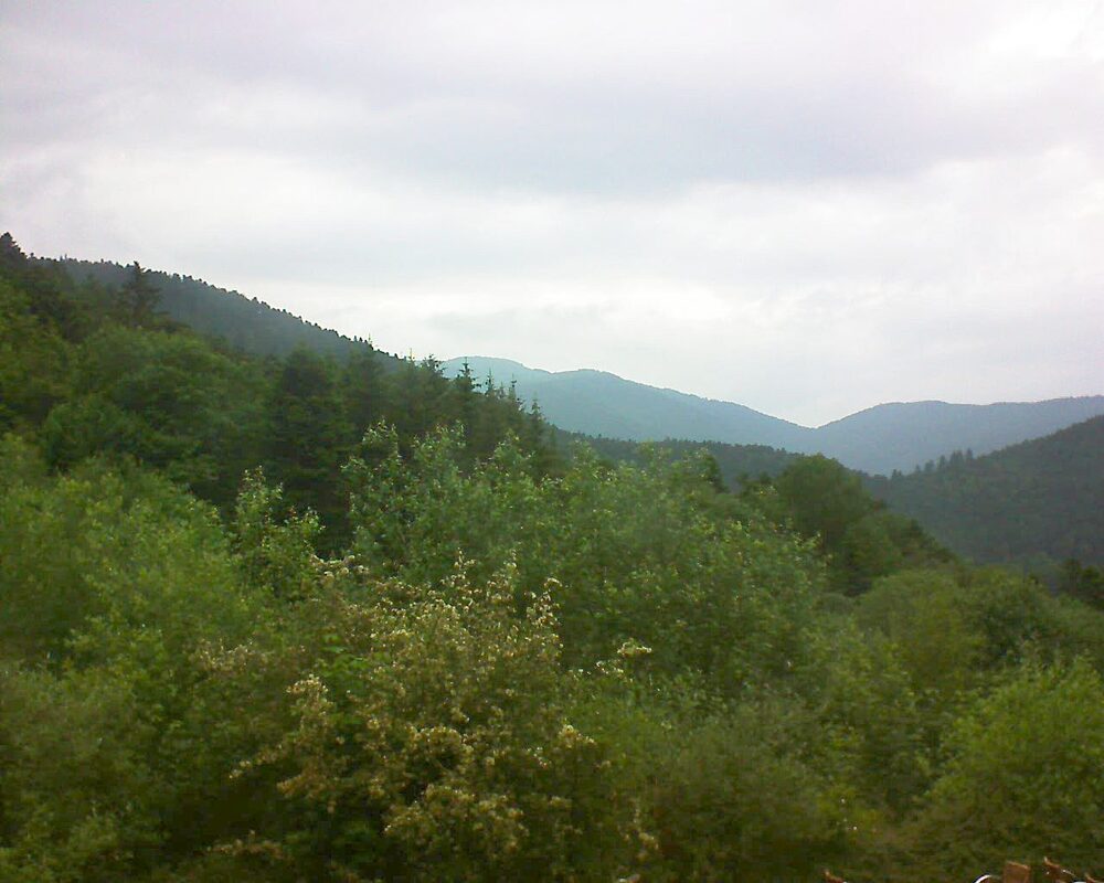 Le petit ballon vu depuis le Domaine Langmatt à Murbach le 09.06.2024 à 19:15 Le petit ballon (Alsace, Vosges) le 09.06.2024 à 19:15
