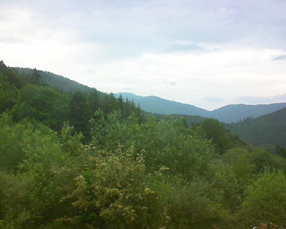 Le petit ballon (Alsace, Vosges) le 09.06.2024 à 20:15