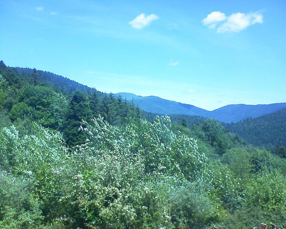 Le petit ballon vu depuis le Domaine Langmatt à Murbach le 10.06.2024 à 12:15 Le petit ballon (Alsace, Vosges) le 10.06.2024 à 12:15